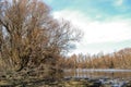 Swampy autumn, sunny landscape