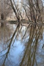 Swampy autumn, sunny landscape