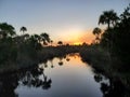 Swampy Florida Sunset