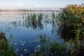 The lake at dawn and in the fog