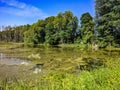 Swampy lake deep in the forest