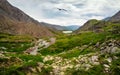 A swampy mountain valley, a dramatic rainy landscape with a stream and a rocky path in a gorge among green mountains. Altai Royalty Free Stock Photo