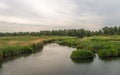 Swampy nature area on a cloudy day in the spring season