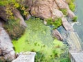 Top view of a quiet backwater