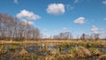 Swampy terrain against the background of clouds, Spring