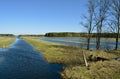 Swampy terrain. The flood of the river Pripyat.Belarus.