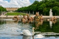 Swan at Apollo fountain in Versailles park, Paris, France Royalty Free Stock Photo