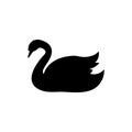 Swan bird black silhouette animal