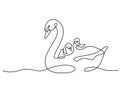 Swan bird with chicks on water surface. Family love. Mothers day concept