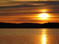 Swan Birds Silhouette During Sunset Over Beautiful Lake with Cloudy Sky in background Royalty Free Stock Photo