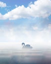 Swan silhouette on lake blue sky with clouds wallpaper Royalty Free Stock Photo