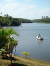 Swan boat on park lake Royalty Free Stock Photo