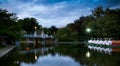 The Swan Boats in the Boston Public