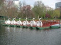 Swan Boats, Boston Public Garden, Boston, Massachusetts, USA