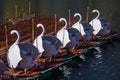 Swan Boats in Boston Public Garden