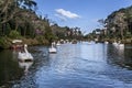 Swan Boats on Dark Lake Gramado Brazil