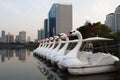 Swan Boats lined up in a large swamp in Benjakitti Park.