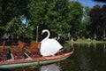 Swan boats at the Public Garden in Boston, Massachusetts