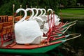 Swan Boats at Rest in the Boston Public Garden Royalty Free Stock Photo