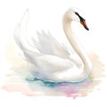 Swan in cartoon style. Cute Little Cartoon Swan isolated on white background. Watercolor drawing, hand-drawn Swan in watercolor. Royalty Free Stock Photo