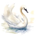 Swan in cartoon style. Cute Little Cartoon Swan isolated on white background. Watercolor drawing, hand-drawn Swan in watercolor. Royalty Free Stock Photo