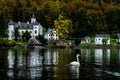 Swan & Castle Hallstatt, Austria Royalty Free Stock Photo