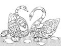 Swan coloring book for adults vector Royalty Free Stock Photo