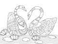 Swan coloring book for adults vector Royalty Free Stock Photo
