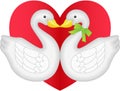 Swan couple in love Royalty Free Stock Photo