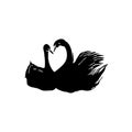 Swan couple in love. Silhouette of swans. Royalty Free Stock Photo