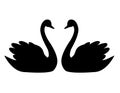 Swan couple / wedding graphic Royalty Free Stock Photo