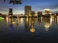 Swan in the down town of orlando background picture