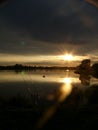 Swan at Dusk