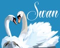 Swan Fall in Love, Birds Couple Kiss, Two Animal Heart Shape pop art Royalty Free Stock Photo