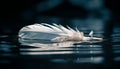 The swan feather, a symbol of elegance and fragility generated by AI Royalty Free Stock Photo