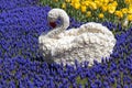 Swan figure made of flowers in the flower garden