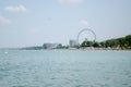 Swan flock on the Balaton lake in Siofok with Ferris wheel in th