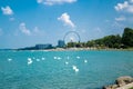 Swan flock on the Balaton lake in Siofok with Ferris wheel in th