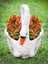 Swan flower pot on the grass