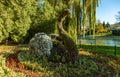 Swan Flower Sculpture in StanisÃâaw Staszic Municipal Park