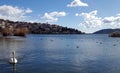 Swan in front of Kastoria town and the Orestiada lake in Greece Royalty Free Stock Photo