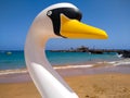 swan head of a floating boat at the shore of a beach ready to be hired by tourists for enjoying the holidays in the sea in a sunny Royalty Free Stock Photo