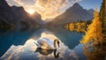 The swan at the heart of a pristine, rippling azure lake Royalty Free Stock Photo