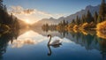 The swan at the heart of a pristine, rippling azure lake Royalty Free Stock Photo