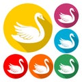 Swan Icon Flat Graphic Design - Illustration with long shadow Royalty Free Stock Photo