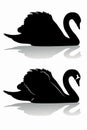 Swan silhouette, vector draw