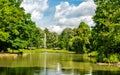 Swan Lake in Bad Homburg vor der Hoehe, Germany