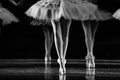 Swan Lake ballet. Ballerinas dancing Royalty Free Stock Photo