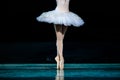 Swan Lake ballet Royalty Free Stock Photo