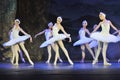 Swan Lake ballet, The Crown of Russian Ballet Royalty Free Stock Photo